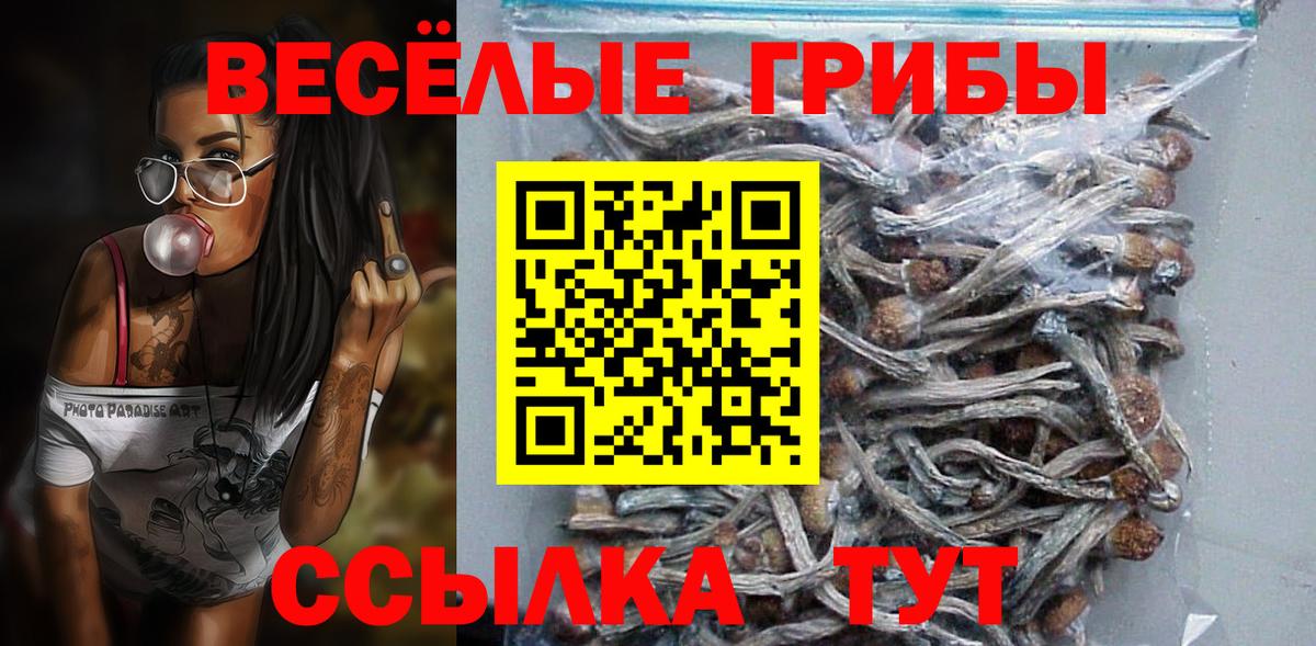 Владимир  Псилоцибиновые грибы мухоморы  наркотики  Вход с VPN 
